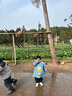 八海鸟自粘黑色刺绣徽章【12个】羽绒服补丁贴衣服裤子破洞可水洗无痕贴 实拍图