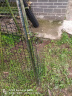 界图 塑料网格防护养殖养鸡围栏网玉米网围栏安全网防护网格护栏围网 1.2米高+3厘米孔(45米/卷) 2.5mm厚【菜园护地】 晒单实拍图
