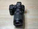 佳能（Canon）全画幅微单变焦镜头 RF系列专微镜头 适用于EOS R系列微单 RF 24-240mm F4-6.3 IS USM 晒单实拍图