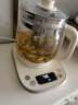 小熊（Bear）养生壶 1.5L煮茶壶烧水壶 可拆卸茶篮 煮茶器电水壶 恒温电热水壶 保温花茶壶 YSH-E15W7  晒单实拍图