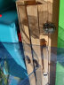 舜江 松木标本夹 背带吸水纸瓦楞纸标签植物收集册树叶压花自制材料学生用手工制作工具套装植物标本 植物标本夹 晒单实拍图