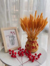 中式节庆创意礼品福袋麦穗红果升级版花瓶树脂工艺品摆件 麦穗红果瓶 晒单实拍图