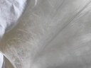 桐乡100%桑蚕丝被芯纯手工天然蚕丝被优质长丝四季被秋冬被子母被 桑蚕丝净重4斤(总重约6斤） 160x210cm【白色全棉】 实拍图