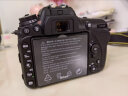 尼康（Nikon）D7500 单反相机 单机身（约2,088万有效像素 51点自动对焦系统） 实拍图