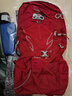OSPREY 小鹰 登山包 Talon 魔爪22L 26L 36L  户外背包双肩骑行旅行徒步 新红色22L L/XL 实拍图