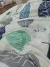 恒源祥四件套全棉纯棉100床上用品宿舍床单被套春夏床品套件多款可选 【40S全棉+AB双版】丝语 1.8m 床单款 被套220*240cm 四件套 实拍图