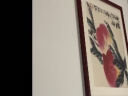 紫腾随轩齐白石装饰画新中式客厅背景墙面挂画卧室饭厅餐厅水墨虾壁画 葫芦 50*50cm红木色实木框 实拍图