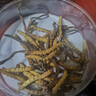 藏区雪域冬虫夏草3根/克（规格）正宗虫草无断草高海拔 送礼佳品 3根/克（规格） 30根礼盒装 实拍图