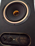天朗GOLD音箱 5/7/8二分频专业有源监听音箱HiFi编曲混音录棚室音 响  GOLD 5单只 线+垫子 实拍图