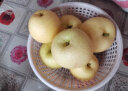京鲜生 河北 丰水梨 净重2.5kg 一级果 生鲜水果礼盒 实拍图