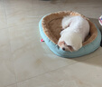 KimPets狗窝猫窝冬季保暖沙发睡觉用隧道狗床垫子宠物用品四季通用可拆洗 浅绿色-加高款深睡窝+垫子 XL-75*55cm(30斤内宠物) 实拍图