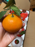 绿美鲜城湖北秭归脐橙新鲜水果手剥冰糖甜橙大果正宗果冻橙九月红 9斤 精品装 【果经75-80mm】 实拍图