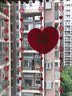 阿宝丽婚房布置窗帘装饰结婚拉花挂饰婚礼新房男方女方卧室客厅喜字门帘 实拍图