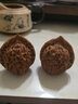 老农哥文玩核桃麻核桃手把件老款手玩古玩盘玩核桃文玩精品配对手玩核桃 【入门级】42-45mm麒麟官帽一对 实拍图