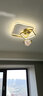 VVS全铜【满天星】广东中山灯具套餐客厅灯吸顶灯大灯全屋led灯饰 三室两厅【全铜满天星】智能调光 实拍图
