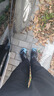阿迪达斯Yeezyfoam黑炫彩椰子男女运动洞洞鞋ID4126 43 实拍图