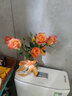 一网情深玫瑰花云南昆明鲜花基地直发玫瑰百合花束鲜切花家庭花材批发 金辉/火焰玫瑰（16支+4支防损耗） 实拍图