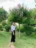 Fitti Pahris轻奢凉鞋女外穿2025年夏季新款平底鞋女蝴蝶结舒适防滑耐磨女鞋 米色【品牌凉鞋】 37 实拍图