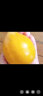 帝醇果[新鲜直达】鸡蛋果新鲜蛋黄果5斤海南特产当季水果孕妇热带应季 1斤 【中大果】( 实拍图