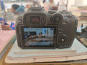 佳能r7相机 微单相机 视频直播高清eos r7 APS-C画幅 直播 踏青 微单 R7拆单机+RF-S18-45STM拆【标准变焦】 官方标配【不含内存卡相机包等必要配件 推荐选套餐】 实拍图