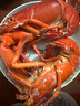 鲟好物 波士顿龙虾大波龙 冰鲜冷冻澳洲大龙虾虾类海鲜水产 1-1.2斤/只 1只大龙虾 实拍图