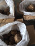 莲山九鲜山东牛奶小芋头农家自种现挖毛芋头新鲜芋艿香芋 5斤大果（2023年新） 实拍图