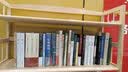 译文视野·人类的未来，AI的未来 晒单实拍图