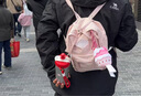Dickies背包双肩包女生包包DK可爱书包初高中学生户外旅行收纳通勤小背包 实拍图