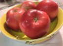 潇月月 新西兰红玫瑰苹果6个装 单果140-160g 新鲜进口水果 晒单实拍图