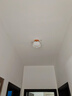 鹿家良品（LUUGAA）云团餐厅灯吊灯浪漫奶油风护眼三头吊线灯吧台餐桌灯中山灯具 全光谱圆盘58cm三色光45W 实拍图