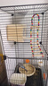 蔻丝鸟笼鹦鹉笼子大号家用虎皮玄凤鹦鹉新型豪华别墅珍珠绣眼八哥专用 【2025新款】造景防溅 豪华9件套 实拍图