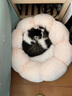 KimPets猫窝狗窝 冬季保暖透气踩奶窝 四季通用圆形窝猫床宠物窝用品 花朵窝粉色【大号55cm】 实拍图
