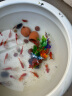 俪鱼（LIYU）十款小水草混装 高10-12cm 鱼缸造景仿真水草 塑料假水草 水族箱装饰 实拍图