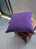 沁汐靠枕天鹅绒轻奢超柔ins靠垫套简约大靠背垫客厅丝绒纯色沙发抱枕 深紫色 45cm*45cm 含枕芯 实拍图