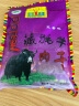 可可西里招牌牦牛肉干多种口味独立小包青海西藏特产休闲零食小吃 210g五香 实拍图
