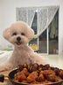小熊（Bear）干果机 冻干机 食物烘干食品风干机金属内腔家用宠物肉干水果干番薯零食5层10升大容量 恒温循环柔热风 GGJ-P03Q5 实拍图