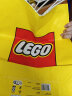 乐高（LEGO）积木拼装迪士尼43249 史迪奇玩偶儿童女孩女生玩具生日礼物送女友 实拍图