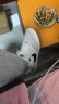 耐克（NIKE）官网 官方 男鞋夏新款运动鞋COURT SB板鞋舒适耐磨缓震潮流休闲鞋 【晒图-10】白灰滑板鞋/新货热推 40.5码(内长255mm) 晒单实拍图