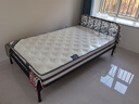 天坛家具铁艺床经典单双人钢木铁床现代环保简约小户型黑白色铁艺婚床 黑床+21cm弹簧床垫 1.2*2.0m 实拍图