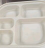 赛卓（Sai  Zhuo）赛卓 玉米淀粉一次性饭盒五格打包盒环保可降解外卖盒高档快餐盒 H528五格1500ml【200套】 晒单实拍图