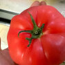 绿行者（GREER）桃太郎番茄5斤 源头直发生吃西红柿沙瓤自然成熟新鲜瓜果蔬菜生鲜 晒单实拍图