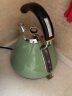 摩飞电器（Morphyrichards） 家用电热水壶进口304不锈钢大容量烧水壶 MR7456A MR7456A绿色1.5L 实拍图