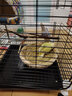 蔻丝鸟笼鹦鹉笼子大号家用虎皮玄凤鹦鹉新型豪华别墅珍珠绣眼八哥专用 移动大平层【74*37*82】7件套 实拍图