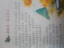 小鲤鱼跳龙门二年级上册必读课外书全套5册快乐读书吧注音版一只想飞的猫孤独的小螃蟹小学生课外故事书  实拍图