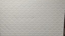 雅兰（AIRLAND）五区护脊奢华双人席梦思弹簧天然乳胶床垫加硬床垫 宫殿 整网弹簧护脊版 1.5*2m 实拍图