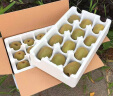 西峡红心猕猴桃奇异果纯甜无酸应季水果产地直发12枚单果90-110克 晒单实拍图