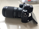 尼康（Nikon）Z 6II（Z6ii/Z62）全画幅微单数码照相机4K高清Volg摄像机学生 礼物 旅游 手持随身拍照片直播相机 Z 6ll+24-200一镜天涯镜头 套装二【日常家用含256G卡+ 实拍图