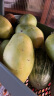 越南青芒果新鲜水果 应季孕妇水果现摘热带水果 9斤带箱(净重8.5) 大果单果300-400g 晒单实拍图
