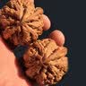 芳缘小傅文玩核桃苹果园狮子头手把件正品把玩包浆盘玩古玩收藏级礼物男士 【禅心】原色四座楼39-40mm 实拍图