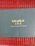 卡罗莱（CALUOLA）女士手表女款全自动机械表品牌女表送女生生日礼物实用上班族新款 【进口机芯】金粉钢带 实拍图